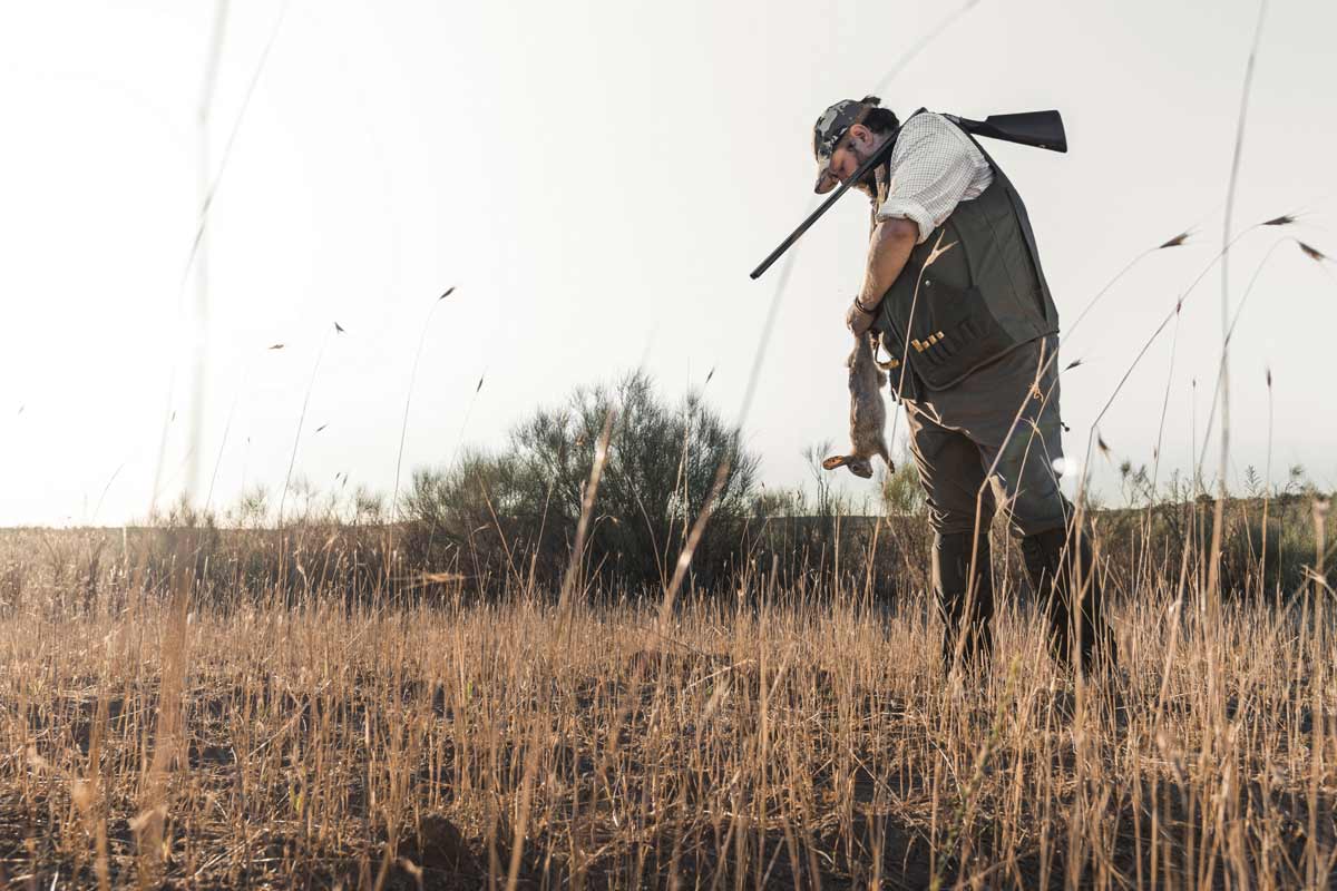 Un cazador cobrando un conejo.