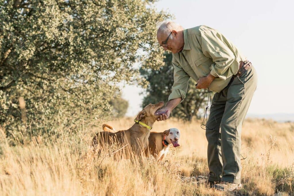 Dos perros y su dueño.