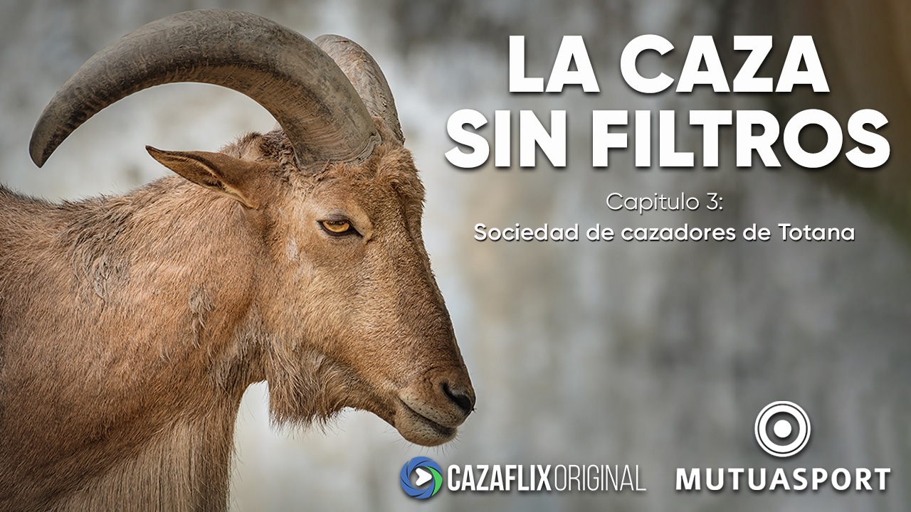 Arruí: los cazadores de Totana luchan para salvarlo de los ecologistas | La caza sin filtros Ep.3