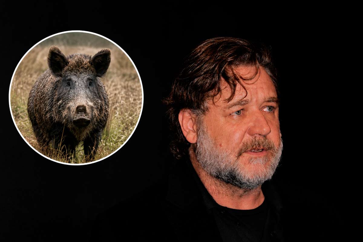 La peste porcina africana del jabalí paraliza la nueva película de Russell Crowe en Barcelona