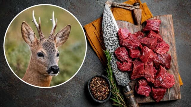 Tres recetas de corzo