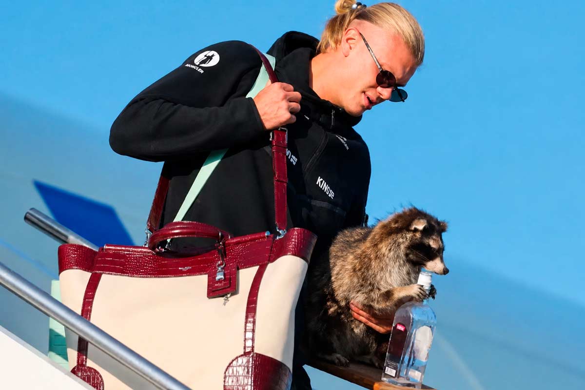 Haaland regresa a Noruega con un insólito recuerdo de Texas: un mapache disecado con una botella de whisky