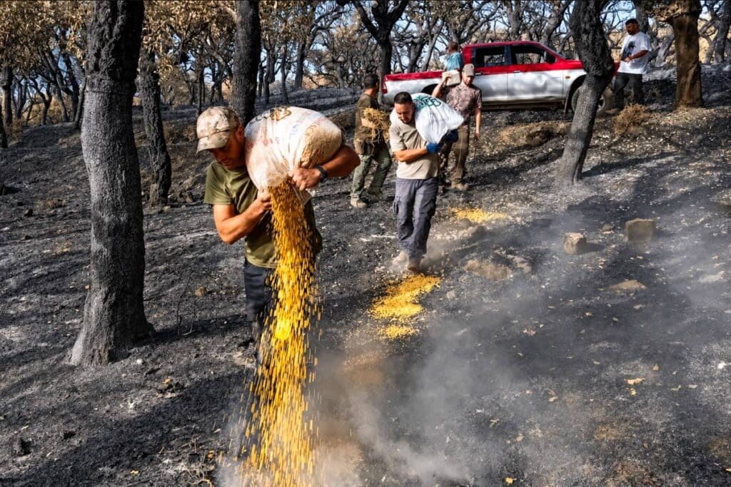 Cazadores alimentando a la fauna tras un incendio en Andalucía.