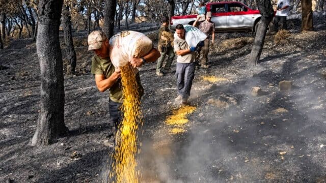 Cazadores alimentando a la fauna tras un incendio en Andalucía.