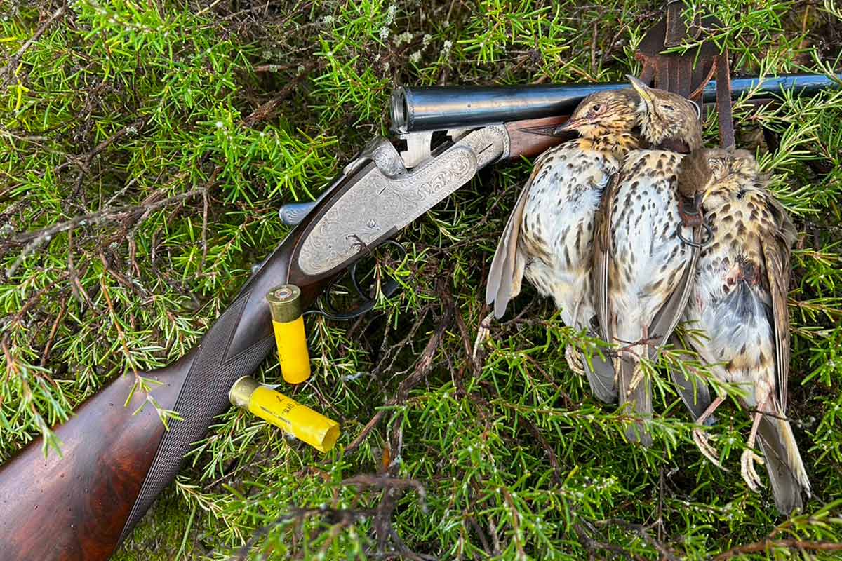 Extremadura reformará sus leyes de caza y pesca para dinamizar el medio rural